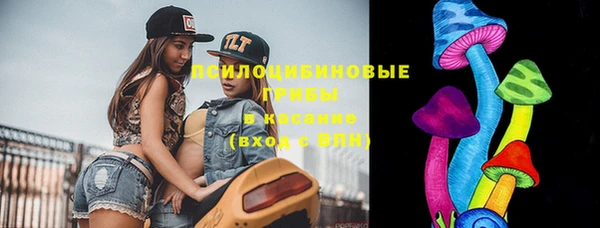 ешки Верхний Тагил