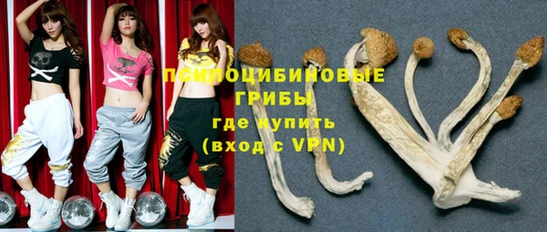 ешки Верхний Тагил