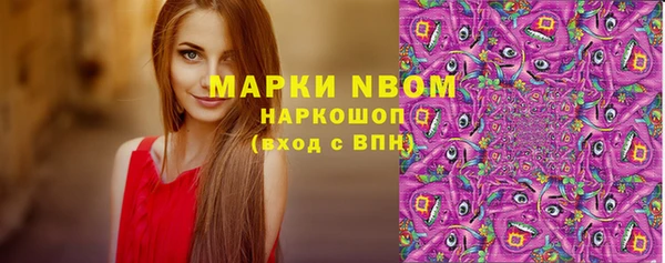 соль ск Верея
